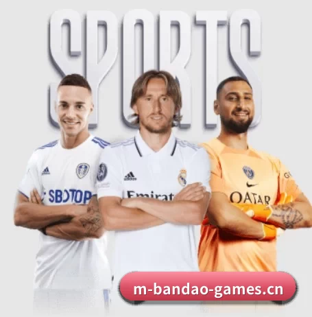 半岛电竞 APP